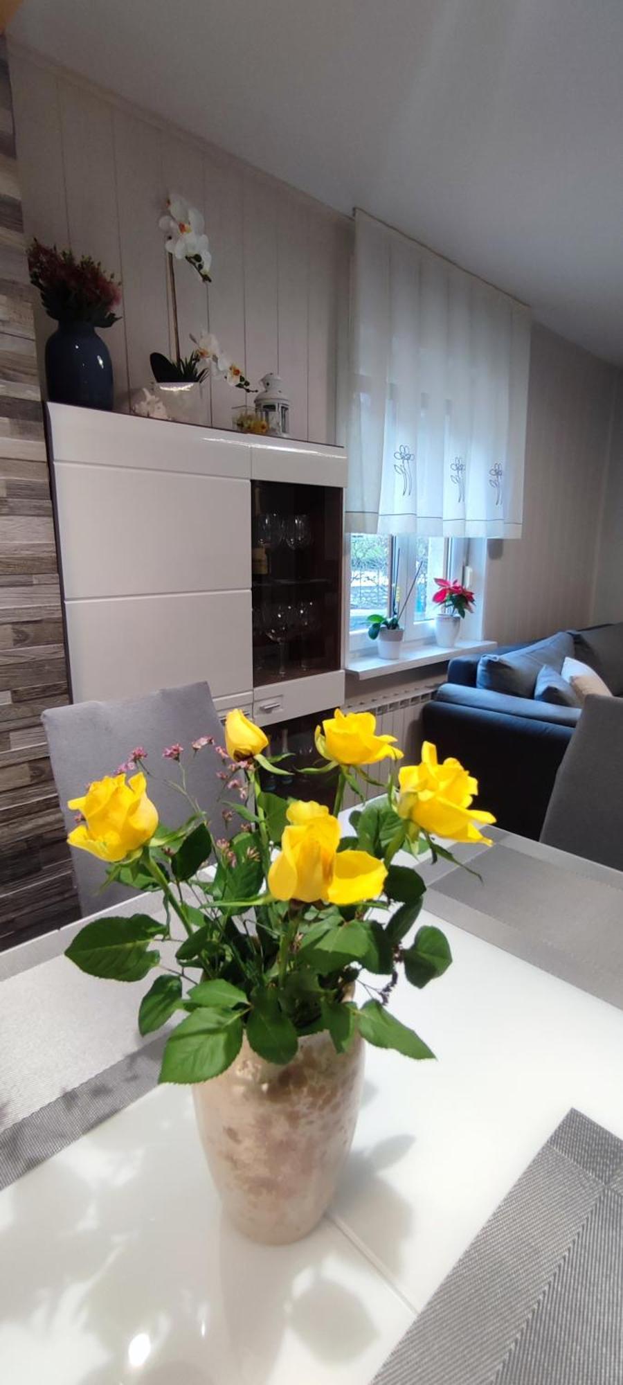 Apartma Soca Oasis Srpenica Exterior photo